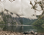 Chile- Alerce Andino